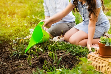 young girl and blong boy gardeners watering flowers in the summer garden at sunset. summer activities.
