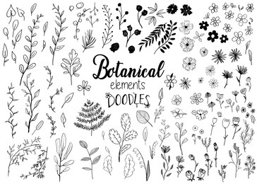 black hand-drawn floral and botany elements, floral doodles