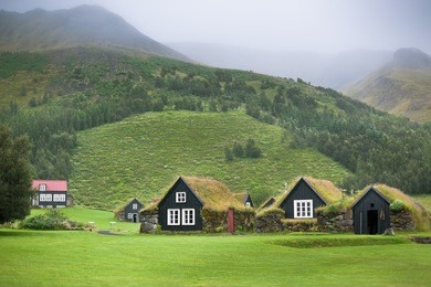 overgrown typical rural icelandic houses at overcast misty day