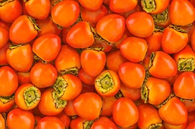 background from persimmons, top view. 3d rendering