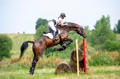 eventing: equestrian rider jumping over an a brance fence obstacle