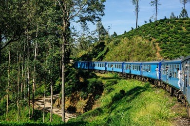 train from nuwara eliya to kandy , beautiful highland ride and countryside