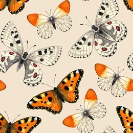 vector pattern with high detailed vivid butterfly