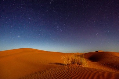 night in the desert