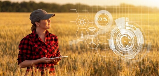a woman farmer examines the field of cereals and sends data to the cloud from the tablet. smart farming and digital agriculture.