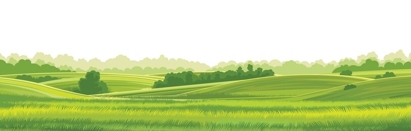 rural hills  landscape vector background on white. pasture grass for cows. meadows and trees. horizon.