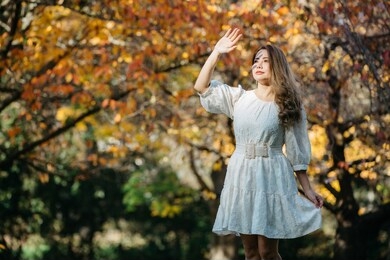 beautiful asian woman with autumn leaves, flower and fall yellow leaves background at hagley park, christchruch, new zealand.