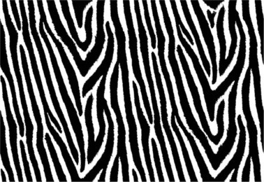 zebra stripes seamless pattern, nature background, tribal ornament, vector