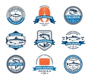 vector salmon logo. salmon fish illustrations, raw steaks, and fillet. modern style seafood labels