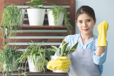 confident woman gardener tending small urban garden with tree pot