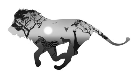 silhouette running lion. inside savannah landscape with silhouettes of animals and trees at sunset. black and white. white background