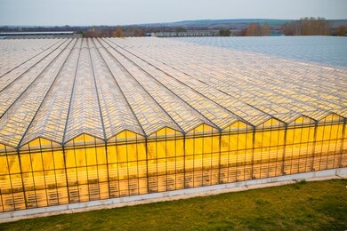 the greenhouse in the summer