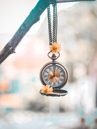 pocket watch and flower hanging on twigs. blured background. selective focus