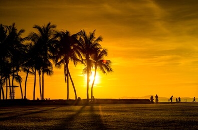silhouette coconut and palm trees ,tourisms relaxed on to beach with sunset sky background.