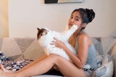 young beautiful asian woman with adorable cat rejecting her kiss while playing in the living room