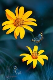 tropical butterflies and yellow bright summer flowers on a background of blue  foliage in a fairy garden. macro artistic fantastic image. 