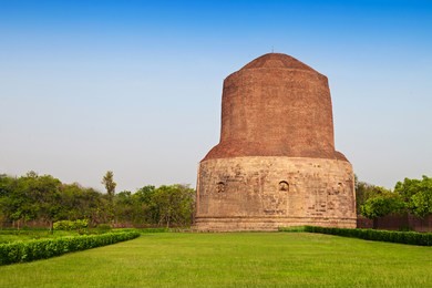 dhamekh stupa on green grass in sarnath, india