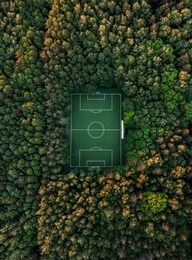 aerial view of a soccer field in the forest, tall trees around the stadium.