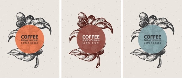 coffee labels in retro style. set of three vector labels for coffee beans with hand-drawn coffee sprig, coffee beans on an old paper background