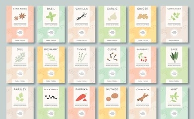 spices labels. different aromatic herbs and spices color packaging for culinary, food preparing. garlic, pepper and basil, spinach and mint organic product for selling vector set. bags with herbs.