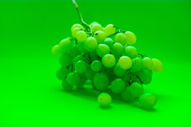 bunch of kishmish grapes close-up in the same color with the background. neon green color. selective focus.