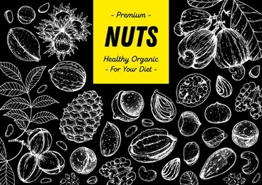 nuts collection hand drawn sketch. vector illustration. nuts cocktail. organic healthy food. great for nuts packaging design. engraved style. black and white color