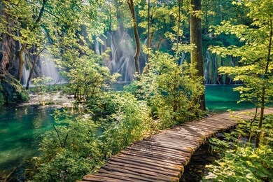 fresh green leaves on the sunlight. pure water waterfall on plitvice national park. attractive spring scene of green forest with blue lake. great countryside view of croatia, europe. 