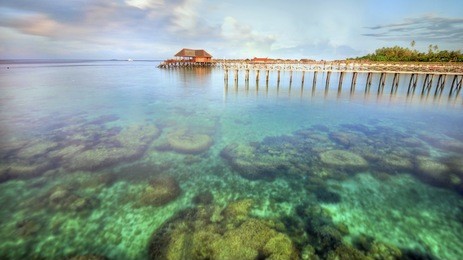 long pier dan beautiful coral at mabul island. noise slightly visible due to long exposure and high iso