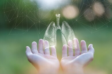 the concept of lung health support.hands show lungs on blurred green background.