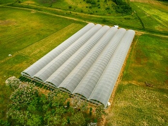 greenhouses lined up in row, covered with transparent film of growing vegetables and fruits aerial view. texture of the roofs of greenhouses field background. farming, bio products. drone