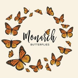 monarch butterflies composition – copy space