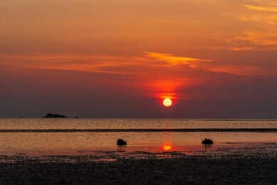 the beautiful cloud on the background of sunset. wide angle