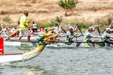 teams compete in a dragon boat race