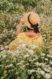 rear view of a woman in a hat and yellow dress resting on a field with daisy flowers, spring or summer concept. unity with nature, admiring