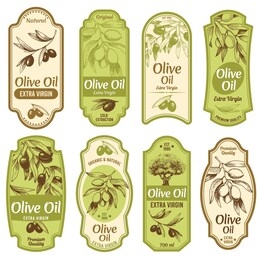 olive oil label. premium extra virgin oils, black olives on branches with leaves and hand drawn olive tree sketch vector illustration set. olive virgin oil, organic emblem collection
