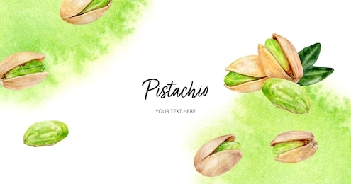 pistachio horizontal banner watercolor hand drawn illustration with watercolor splash background on white.