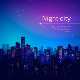 night city. vector illustration.