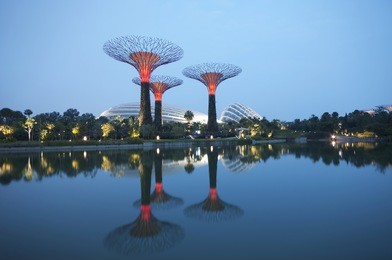 night view of the supertree grove in the garden by the bay in singapore.
