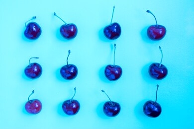 neon bright blue cherry on a ultraviolet background. cherry pattern. cherries closeup. summer flat lay berry background. top view