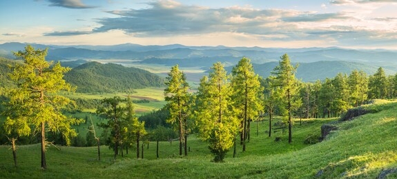 picturesque valley, panoramic mountain view. summer greens of forests and meadows.