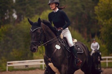 equestrian sport - young girl rides on horse.