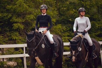 equestrian sport - young girl rides on horse.
