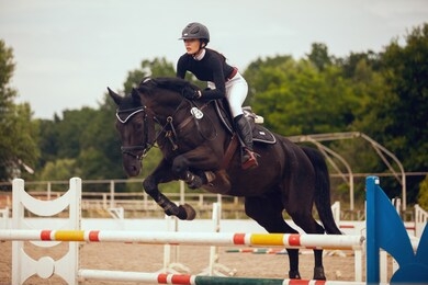 equestrian sport - young girl rides on horse.