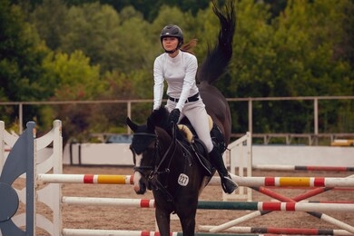 equestrian sport - young girl rides on horse.