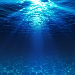 underwater view with sandy seabed 