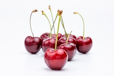 group of red and dark red cherries with green stems, one cherry in focus, stands out, on white background, soft reflections