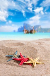 starfish on the beach on phi phi island thailand