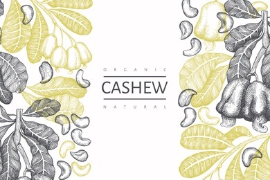 hand drawn sketch cashew design template. organic food vector illustration on white background. vintage nut illustration. engraved style botanical background.