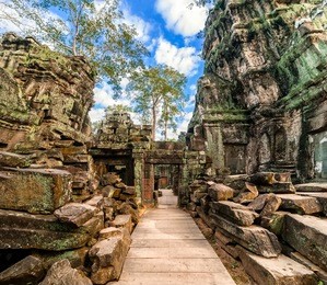 ancient khmer architecture. ta prohm temple with giant banyan tree at angkor wat complex, siem reap, cambodia. two images panorama