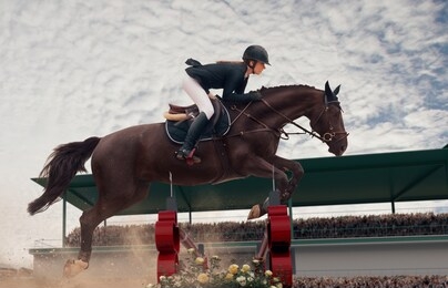 equestrian sport. young girl rides on horse on championship.